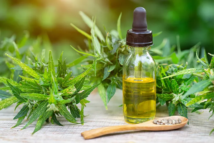 Le point sur les bienfaits santé du CBD