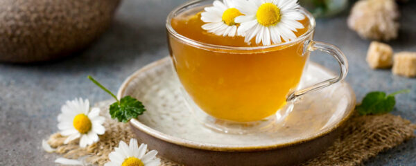 infusions bio