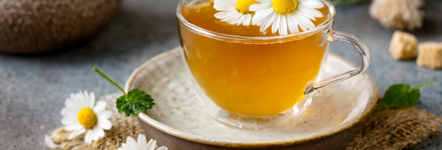 infusions bio